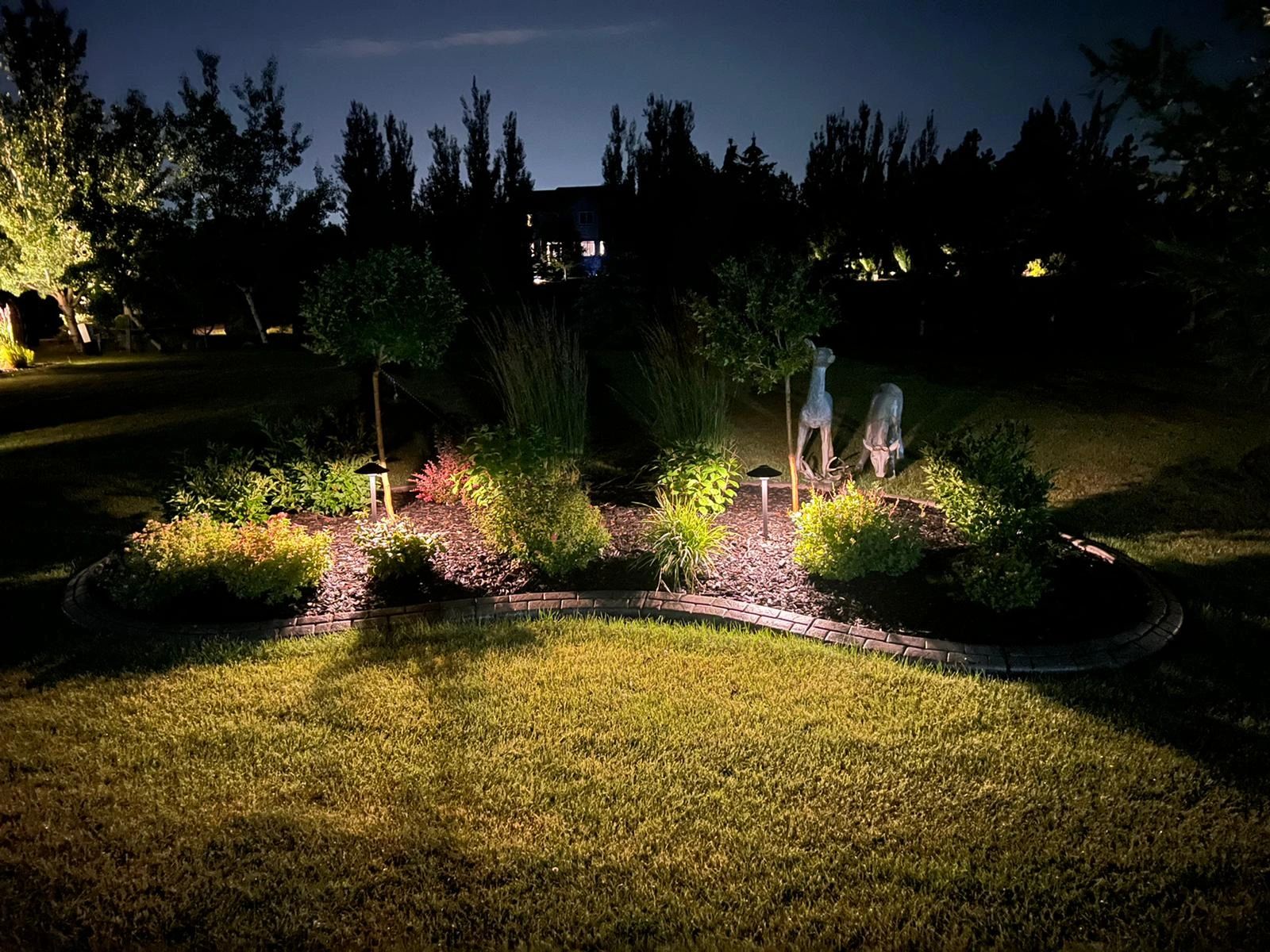 Residential garden accent lighting