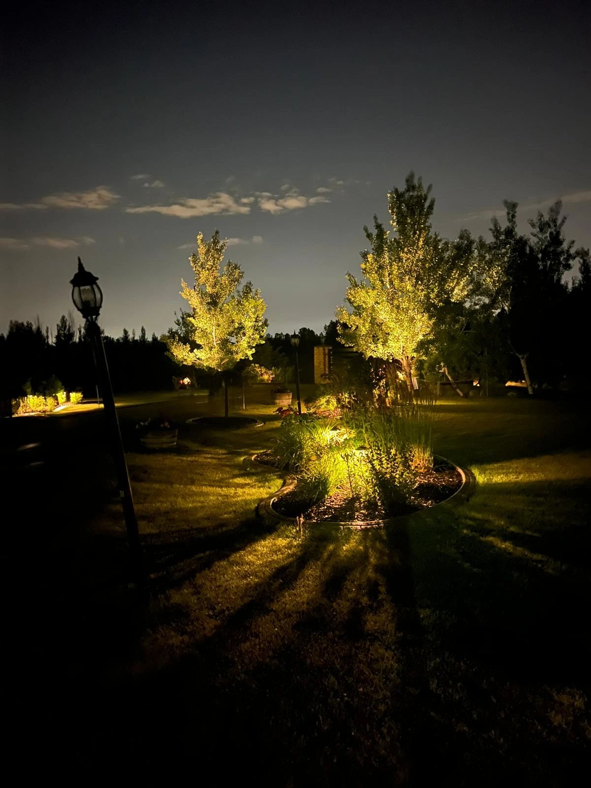 Garden with uplighting at dusk
