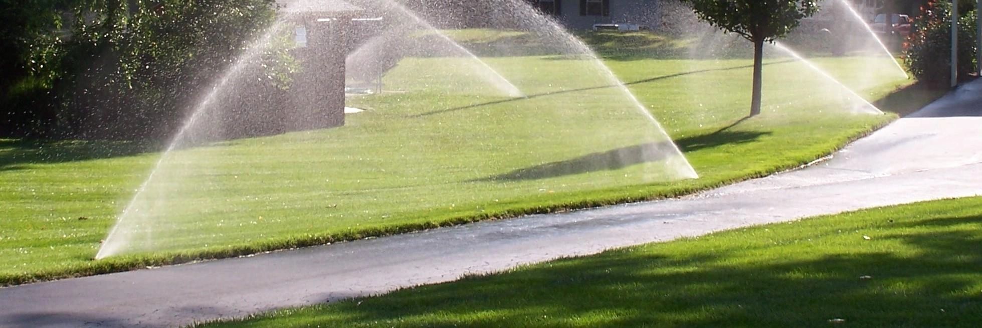 Tri-Star landscaping project